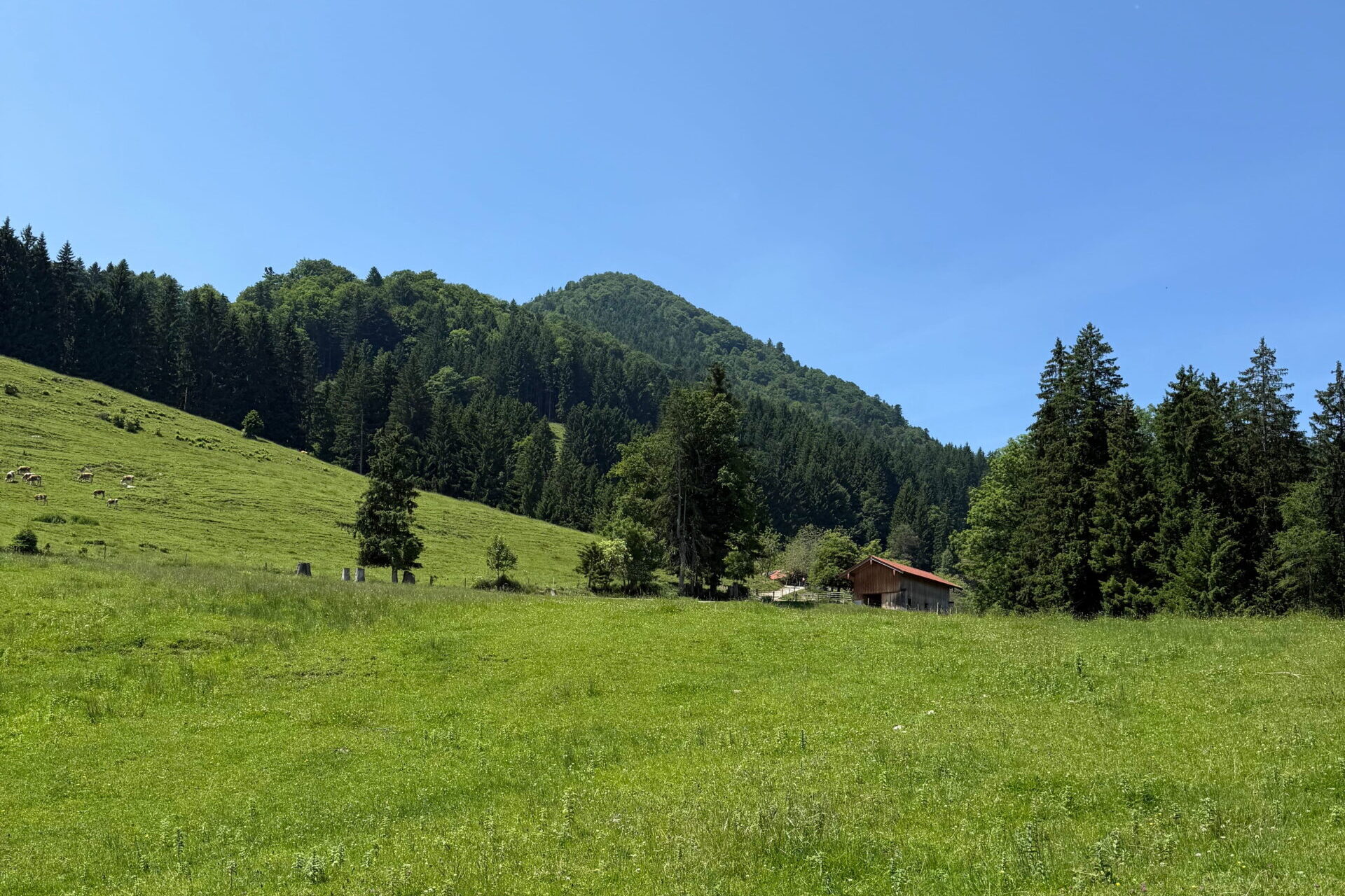 Die Natur schenkt uns alles was wir brauchen