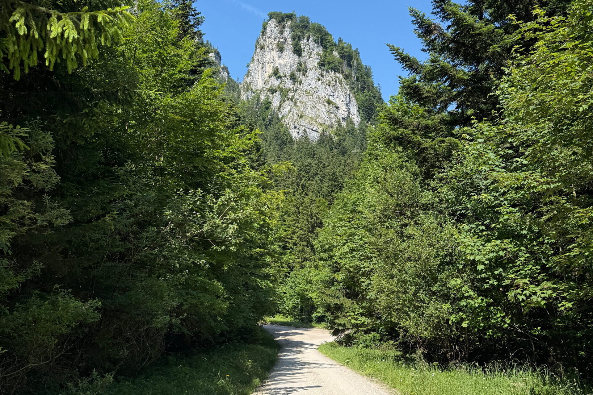 Das Wandern öffnet den Geist