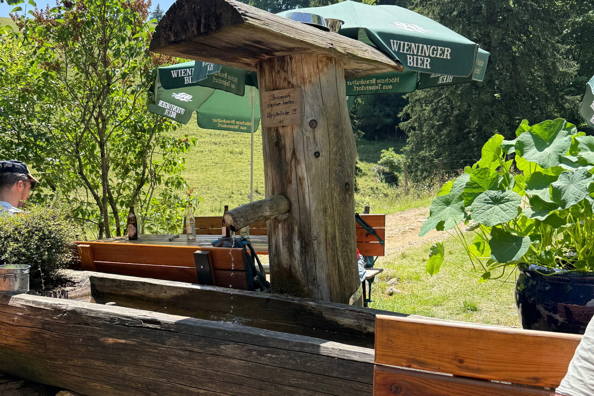 Das frische Quellwasser ist als idealer Durstlöscher